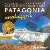 Magma Patagonia GA130G12 snaren voor 12-snarige akoestische gitaar