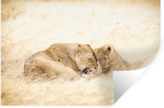 Foto: Muurstickers sticker folie moeder leeuw met welp in het gras van de ngorongoro krater in tanzania 40x30 cm plakfolie muurstickers kinderkamer zelfklevend behang zelfklevend behangpapier stickerfolie
