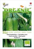 Organic BIO Snackkomkommer Picolino - 6 zaden