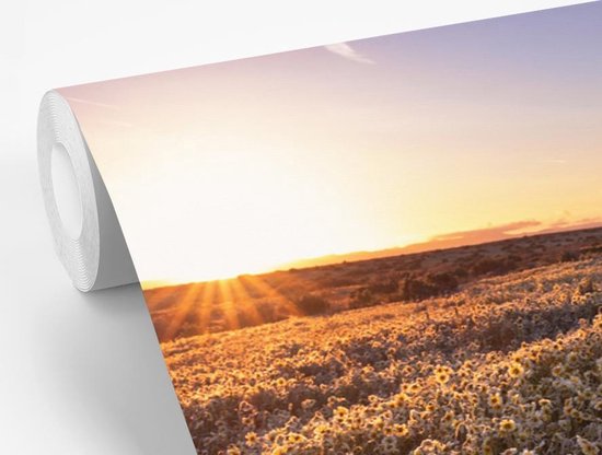 Champ de fleurs vallonné au crépuscule 330x220 cm
