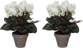 2x stuks cyclaam kunstplanten wit in keramieken pot H30 x D30 cm cm - Kunstplanten/nepplanten