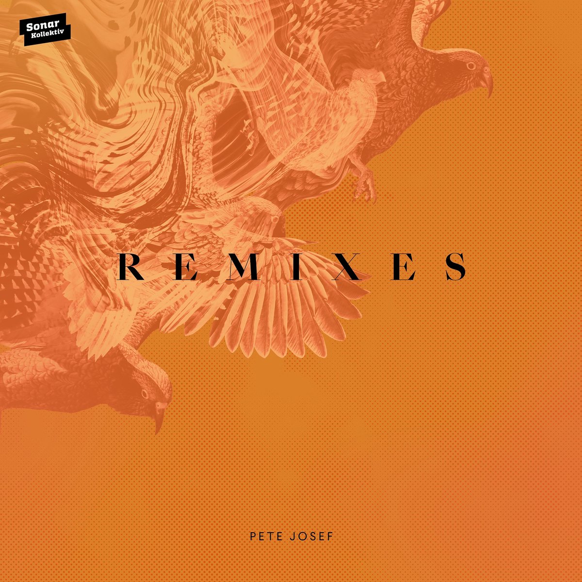 Remixes