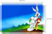 Rabbit - where's my mail - Canvas - woonkamer - Slaapkamer - kaarten - Canvas