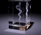 Anatomie model Esculaap - 3D glazen blok - verpleegkundige cadeau/ dokter cadeau/ geneeskunde cadeau