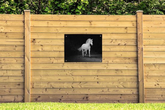 Tableau de jardin Paarden - Sable - Foncé - 80x60 cm - Affiche jardin - Toile jardin - Affiche extérieur