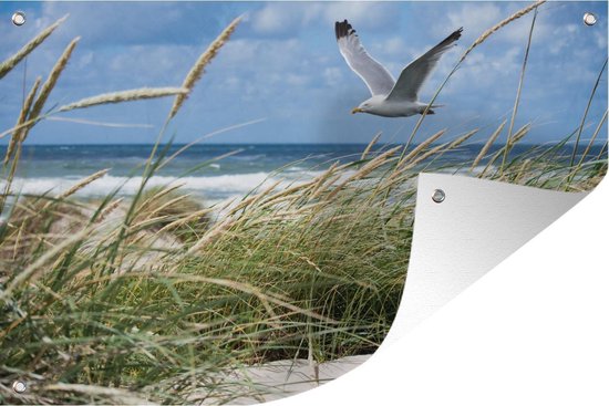 Décoration de jardin Plage - Vogel - Plantes - 60x40 cm - Poster jardin - Toile jardin - Poster extérieur
