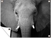 Tuin decoratie Close-up van een olifant - zwart wit - 40x30 cm - Tuindoek - Buitenposter