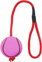 Trixie Apporteerspeelgoed Sportbal 30 X 6 Cm Schuimrubber Roze