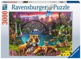 Ravensburger legpuzzel Tiger paradise 3000 stukjes