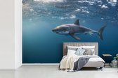 Behang - Fotobehang Grote witte haai - Breedte 390 cm x hoogte 260 cm