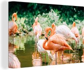 Canvas Schilderij Flamingo's staan in het water - 30x20 cm - Wanddecoratie