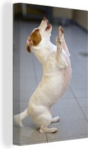 Canvas schilderij 90x140 cm - Wanddecoratie Jack Russel hond op twee poten - Muurdecoratie woonkamer - Slaapkamer decoratie - Kamer accessoires - Schilderijen
