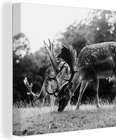 Tableau sur toile Danemark - Zwart - Wit - Cerf - 90x90 cm - Décoration murale