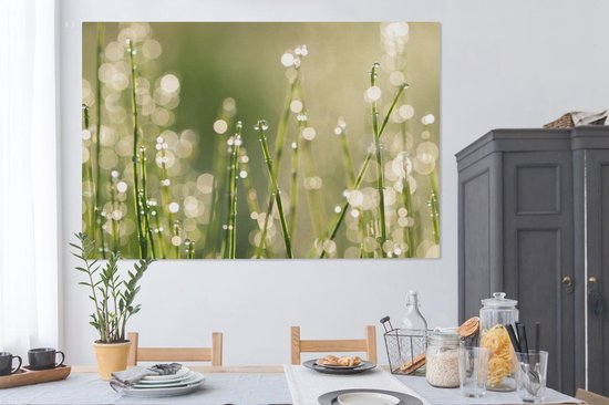 Canvas schilderij 150x100 cm - Wanddecoratie Vroege dauw op grassprieten - Muurdecoratie woonkamer - Slaapkamer decoratie - Kamer accessoires - Schilderijen