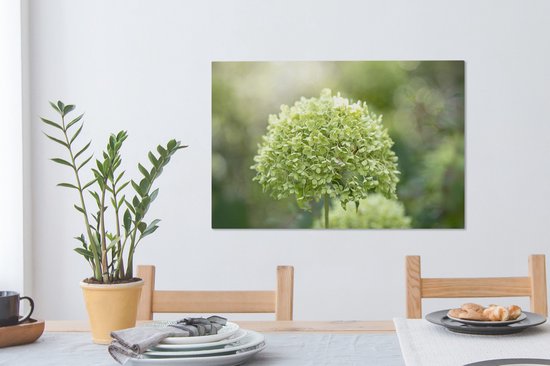 Hortensia vert sur fond délavé 60x40 cm - Tirage photo sur toile (Décoration murale salon / chambre) / Peintures Fleurs sur toile