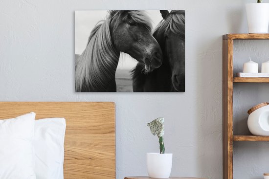 Gros plan de deux chevaux (noir et blanc) sur toile 2cm 40x30 cm - petit - Tirage photo sur toile (Décoration murale salon / chambre) / Animaux sauvages Peintures sur toile