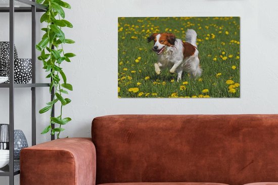 Kooiker traverse une toile d'herbe 2cm 90x60 cm - Tirage photo sur toile (Décoration murale salon / chambre) / Peintures sur toile pour Animaux domestiques
