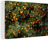 Canvas Schilderij Sinaasappel - Boom - Fruit - 60x40 cm - Wanddecoratie