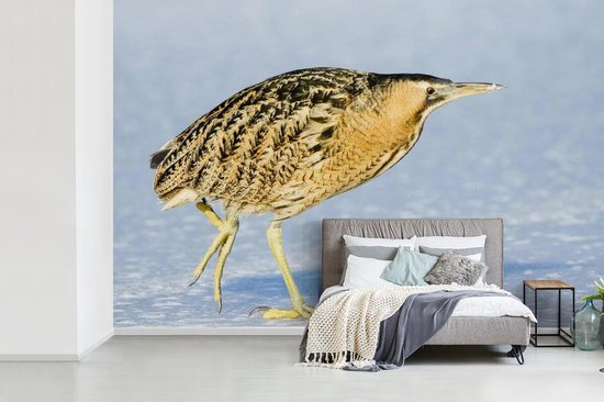 Papier peint photo vinyle - Un butor marche sur la glace largeur 330 cm x hauteur 220 cm - Tirage photo sur papier peint (disponible en 7 tailles)