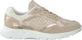 Omoda Kate Lage sneakers - Dames - Beige - Maat 41