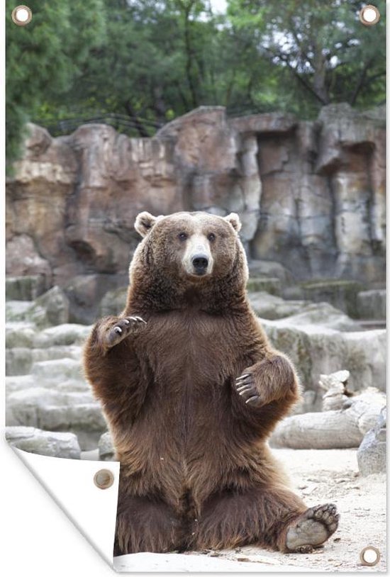Un Grizzly Bear est assis sur des pierres grises Affiche de jardin 120x180  cm - Toile