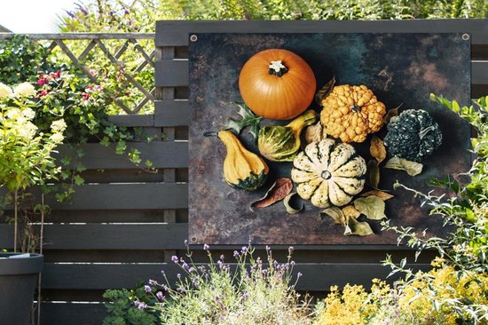 Affiche de jardin Citrouilles sur fond rouillé - 120x90 cm
