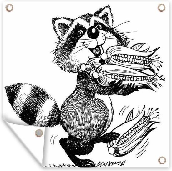 Tuinposter wasbeer illustratie - Illustratie van een wasbeer met maiskolven