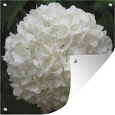 Tuindoek Witte hortensia - 100x100 cm