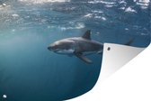 Muurdecoratie Grote witte haai - 180x120 cm - Tuinposter - Tuindoek - Buitenposter