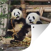 Tuindoek Panda - Wilde dieren - Bamboe - 100x100 cm