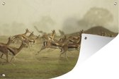 Muurdecoratie Gazelle - Afrika - Boom - 180x120 cm - Tuinposter - Tuindoek - Buitenposter