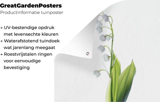 Tuinposter 120x160 cm - Tuindecoratie Een portretbeeld van een Lelietje van Dalen - Poster voor in de tuin - Buiten decoratie - Schutting tuinschilderij - Tuindoek muurdecoratie - Wanddecoratie balkondoek