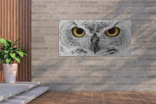 Décoration murale Gros plan d'un grand-duc d'Europe - 180x120 cm - Poster jardin - Toile jardin - Poster extérieur