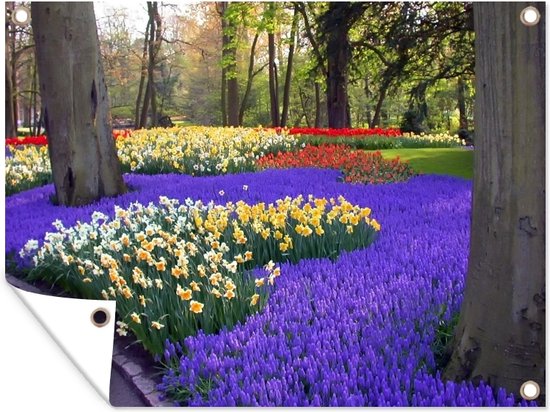 Fleurs dans le Keukenhof en Holland méridionale affiche de jardin 160x120 cm - Toile de jardin / Toile d'extérieur / Peintures d'extérieur (décoration de jardin) XXL / Groot format!