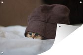 Tuinposters buiten Een Perzische kitten verstopt onder een hoed - 90x60 cm - Tuindoek - Buitenposter