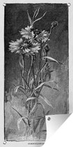 Wanddecoratie buiten Een zwart-wit illustratie van een korenbloemen - 80x160 cm - Tuindoek - Buitenposter