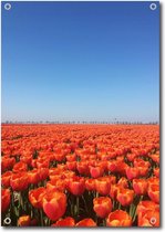 MuurMedia - Nature - Tuindoek - 95x130 cm – Tulpen veld - tuinposter - tuin decoratie - tuinposters buiten – tuinschilderij