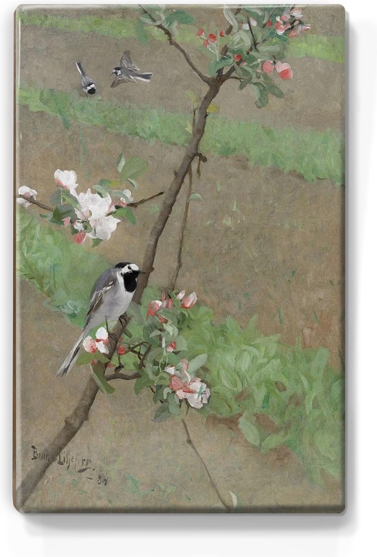 Schilderij - Witte kwikstaarten - Bruno Liljefors - 19,5 x 30 cm - Niet van echt te onderscheiden handgelakt schilderijtje op hout - Mooier dan een print op canvas.
