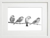 Poster mussen, tuinvogels, A4, zwart wit, kunstposter vogels, dieren