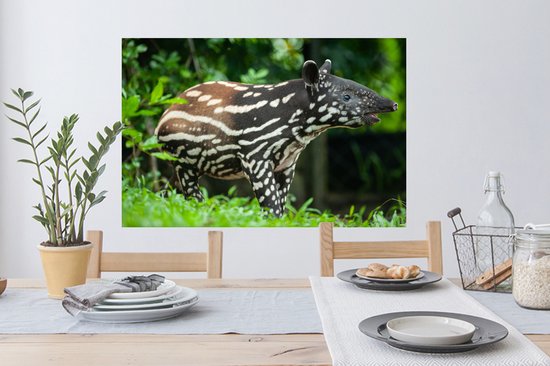 Autocollant mural Animaux jungle KIT COMPLET