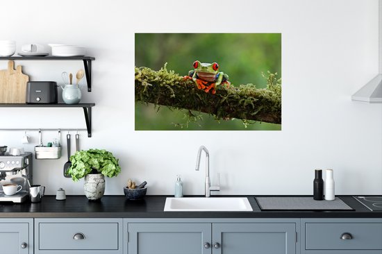 Stickers Stickers muraux - Grenouille aux yeux rouges sur une branche couverte - 90x60 cm - Film adhésif