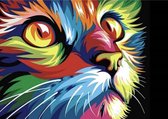 Schilderen Op Nummer - Kat - Poes - Popart - Dieren - Kinderen - Volwassenen - Opgerold kreukvrij canvas - 40 x 50 cm met opspan frame Lijst