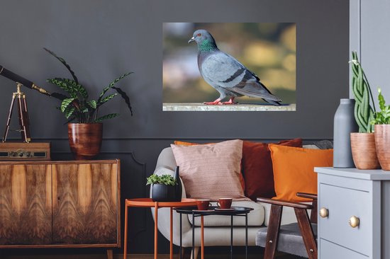 Sticker Muursticker Duif - pigeon coloré se repose - 90x60 cm - film adhésif autocollant - sticker mural repositionnable