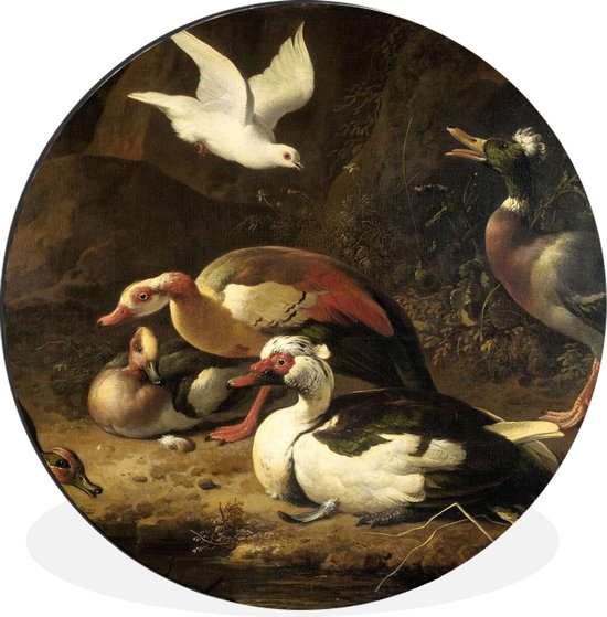 Canards - Peinture de Melchior d'Hondecoeter Wall cercle aluminium