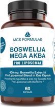 Boswellia Mega AKBA - with BioPerine - LIPOSOMAL - NO ADDITIVES - 60 capsules
