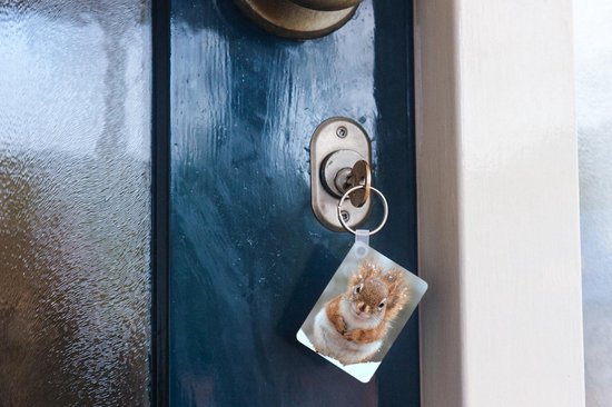 Porte-clés Écureuils en hiver - Un gros plan d'un écureuil en hiver Porte-clés en plastique - Porte-clés rectangulaire avec photo