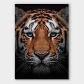 Poster Tiger Close-up - Plexiglas - Meerdere Afmetingen & Prijzen | Wanddecoratie - Interieur - Art - Wonen - Schilderij - Kunst