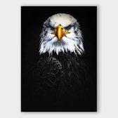 Poster Dark Eagle - Dibond - Meerdere Afmetingen & Prijzen | Wanddecoratie - Interieur - Art - Wonen - Schilderij - Kunst