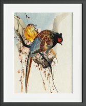 Poster met vogelprent - Fazantenkoppel en pruimenbloesem - Ohara Koson - 30x40 cm - Stevig papier - Zonder lijst