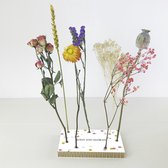 Bloomincard Sette - Droogbloemen - Hip en trendy cadeautje - Droogbloemen door de brievenbus met design kaart - 7 stuks in leuke cardboard kaart - 35cm hoog - Hooray come celebrate! - verjaar